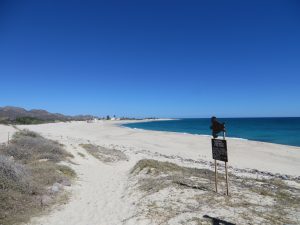 Things to do in the Baja