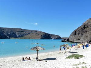 Top Things to do in the Baja